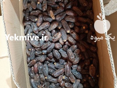 خرما خرما ربی در گلمورتی در گروه خرید و فروش خرما در یکمیوه -عکس1