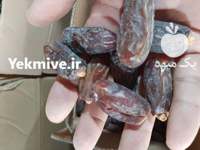 خرما خرما ربی در گلمورتی در گروه خرید و فروش خرما در یکمیوه -عکس2
