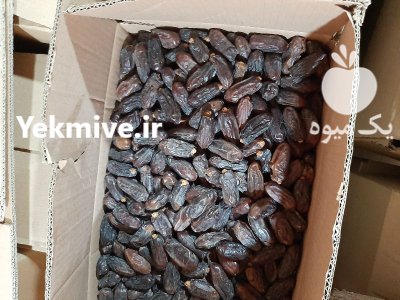 خرما خرما ربی در گلمورتی در گروه خرید و فروش خرما در یکمیوه -عکس3