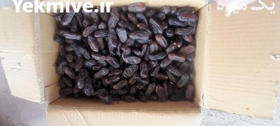 خرما خرما ربی در گلمورتی در گروه خرید و فروش خرما در یکمیوه -عکس4