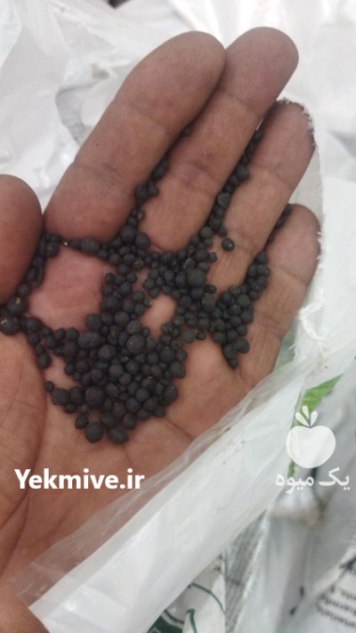 کود کامل گرانوله پیلمن غنی شده در بهارستان در گروه خرید و فروش کود کامل در یکمیوه -عکس4