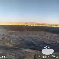 قیمت دهی فروش ورق پلیمر استخر در کرج در گروه خرید و فروش استخر کشاورزی در یکمیوه