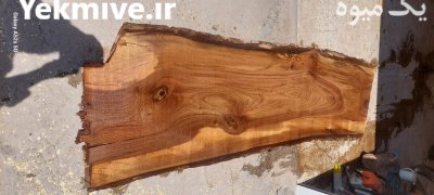 فروش چوب بری و چوب قاسمی در بردسیر در گروه خرید و فروش انواع چوب در یکمیوه -عکس2