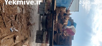 فروش چوب بری و چوب قاسمی در بردسیر در گروه خرید و فروش انواع چوب در یکمیوه -عکس3