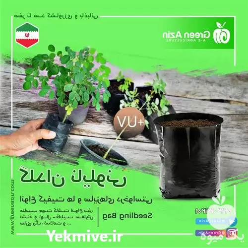قیمت خرید تولید کیسه نهال در سمنان در گروه خرید و فروش بسته بندی نایلونی در یکمیوه -عکس1