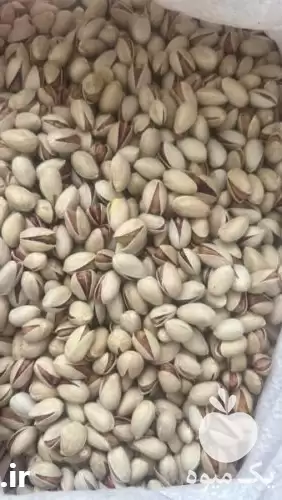 فروش انواع پسته اکبری در مشهد در گروه خرید و فروش پسته در یکمیوه -عکس1