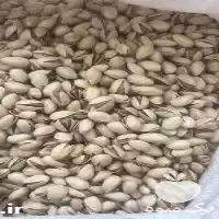 فروش انواع پسته اکبری در مشهد در گروه خرید و فروش پسته در یکمیوه