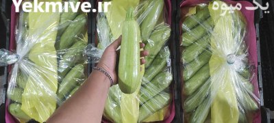 فروش کدو خورشتی صادراتی در یزد در گروه خرید و فروش کدو در یکمیوه -عکس1