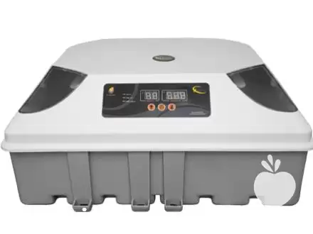 قیمت خرید لوازم مرغداری قریشی در آق قلا در گروه تجهیزات مرغداری در یکمیوه -عکس1