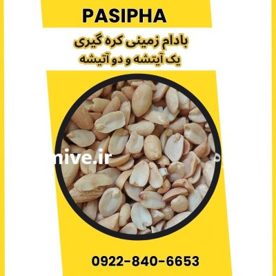 فروش بادام زمینی مخصوص کره گیری در ری  در گروه خرید و فروش بادام در یکمیوه -عکس1