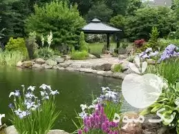 طراحی اجرای فضای سبز انواع سیستم در تهران در گروه سازنده در یکمیوه -عکس1