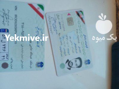 چوب میوه گردو صنوبر در الشتر در گروه خرید و فروش انواع چوب در یکمیوه -عکس3