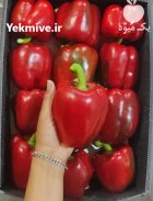 فروش فلفل رنگی صادراتی در یزد در گروه خرید و فروش فلفل در یکمیوه