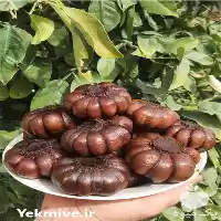 قیمت خرید سیر ترشی ده ساله در تهران در گروه محصولات ترشی در یکمیوه