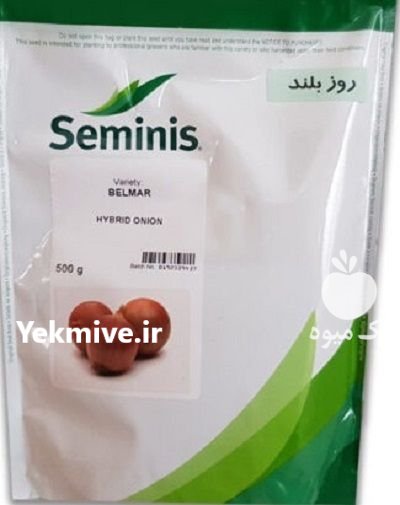 بذر پیاز زرد روز بلند بلمار در اهواز در گروه خرید و فروش بذر پیاز در یکمیوه -عکس1