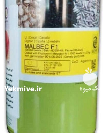 بذر پیاز قرمز مالبک انزا در آق قلا در گروه خرید و فروش بذر پیاز در یکمیوه -عکس1