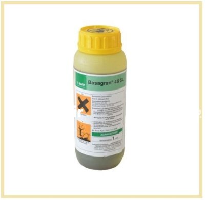 سم Basagran BASF سم علف کش در شهرکرد در گروه خرید و فروش انواع سم در یکمیوه -عکس1