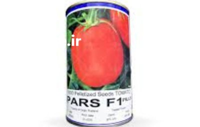 بذر گوجه پارس در اردبیل در گروه خرید و فروش بذر گوجه در یکمیوه -عکس1