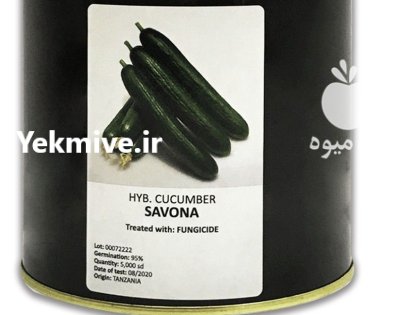 بذر خیار ساوانا در نهاوند در گروه خرید و فروش بذر خیار در یکمیوه -عکس1