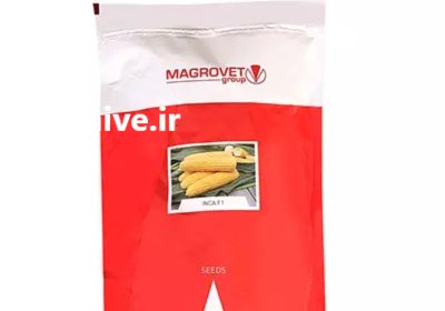 بذر ذرت اینکا در زنجان در گروه خرید و فروش بذر ذرت در یکمیوه -عکس1