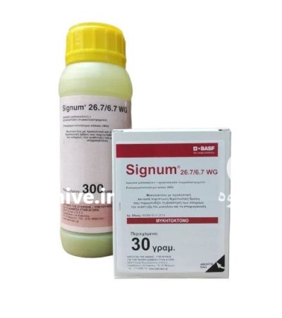 سم Signum BASF سم قارچ کش در کرج در گروه خرید و فروش انواع سم در یکمیوه -عکس1