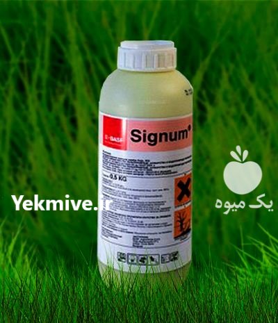 سم Signum BASF سم قارچ کش در کرج در گروه خرید و فروش انواع سم در یکمیوه -عکس2