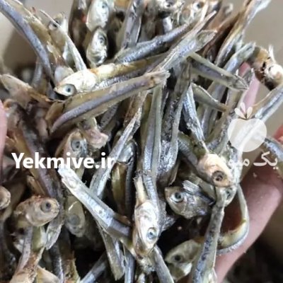 دستگاه خشک کن ماهی در اصفهان در گروه خشک کن در یکمیوه -عکس2