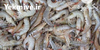 خشک کن میگو کیفیتی فراتر در اصفهان در گروه خرید و فروش تجهیزات ماهی در یکمیوه -عکس1