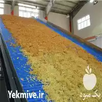 قیمت خرید خط تولید سیب خشک در اصفهان در گروه خرید و فروش خط تولید در یکمیوه