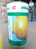 قیمت بذر پیاز ویکیما در اندوهجرد در گروه خرید و فروش بذر پیاز در یکمیوه