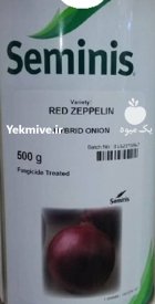 بذر پیاز قرمز هیبریدی رد زیپلین در بیارجمند در گروه خرید و فروش بذر پیاز در یکمیوه