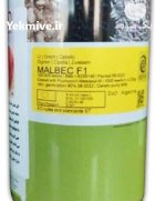 بذر پیاز قرمز مالبک انزا در آق قلا در گروه خرید و فروش بذر پیاز در یکمیوه