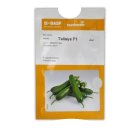 بذر خیار گلخانه ای تالیسیا در شیراز در گروه خرید و فروش بذر خیار در یکمیوه