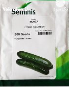 بذر خیار گلخانه ای مونزا در زرین آباد در گروه خرید و فروش بذر خیار در یکمیوه