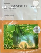 بذر خیار مینی سناتور در باباحیدر در گروه خرید و فروش بذر خیار در یکمیوه