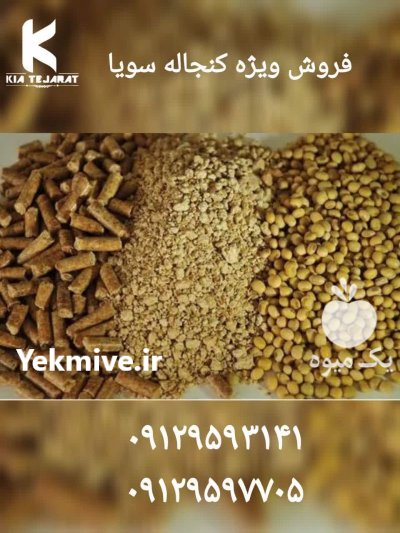 فروش ویژه کنجاله سویا در تهران در گروه خوراک دام و طیور در یکمیوه -عکس1