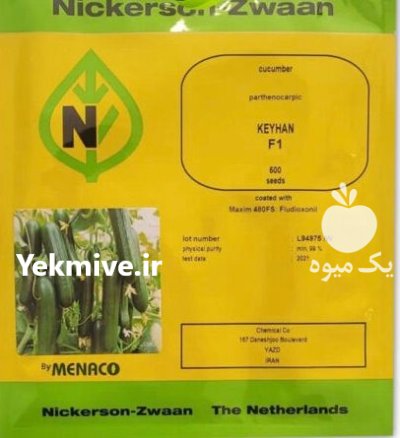 بذر خیار کیهان در تایباد در گروه خرید و فروش بذر خیار در یکمیوه -عکس1