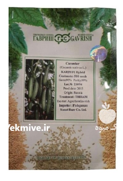 بذر خیار گلخانه کریم 500 در بفروئیه در گروه خرید و فروش بذر خیار در یکمیوه -عکس1