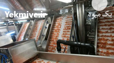 خط فرآوری میگو انتخابی هوشمند در اصفهان در گروه خرید و فروش تجهیزات ماهی در یکمیوه -عکس2