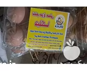 قیمت خرید تخم مرغ محلی گلپایگان در تهران در گروه انواع تخم ها در یکمیوه -عکس1