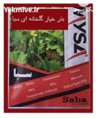 بذر خیار گلخانه ای سبا در آرین شهر در گروه خرید و فروش بذر خیار در یکمیوه