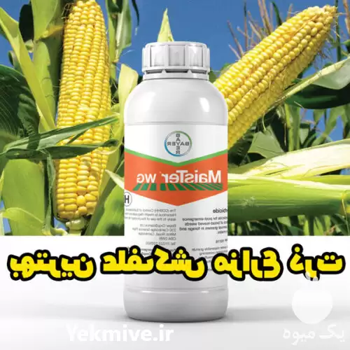 خرید علف کش Maister برای علف در تهران در گروه خرید و فروش انواع سم در یکمیوه -عکس1
