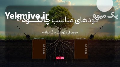 عرضه کودهای مناسب چالکود سبزینه مارال در قم در گروه خرید و فروش انواع کود کشاورزی در یکمیوه -عکس1