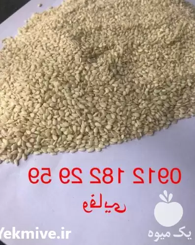 قیمت خرید کنجد سفید پوست کنده در تهران در گروه خرید و فروش دانه های روغنی در یکمیوه -عکس1