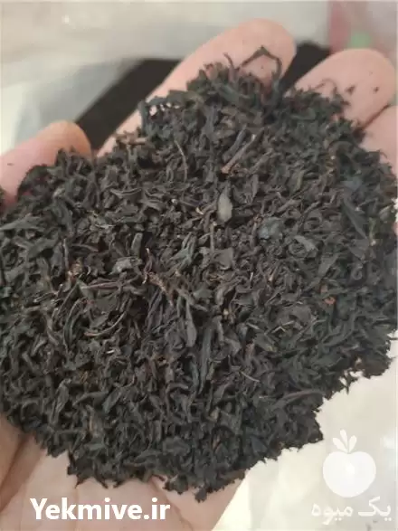 قیمت خرید چای ممتاز چای شکسته ممتاز چای در سیاهکل در گروه خرید و فروش چای در یکمیوه -عکس1
