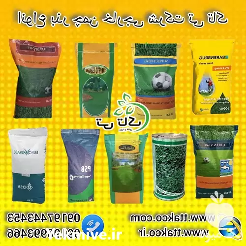 خرید انواع بذر چمن خارجی در تهران در گروه خرید و فروش بذر چمن در یکمیوه -عکس1