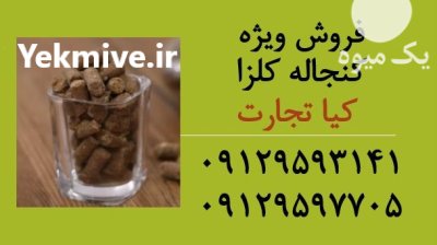 قیمت خرید کنجاله کلزا در تهران در گروه خوراک دام و طیور در یکمیوه -عکس1