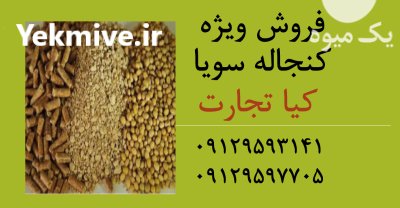 قیمت خرید ویژه کنجاله سویا در تهران در گروه خوراک دام و طیور در یکمیوه -عکس1