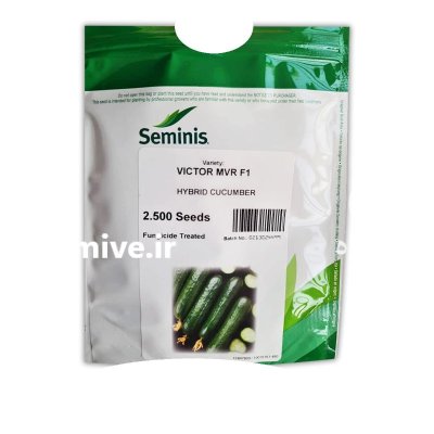 بذر خیار ویکتور سمینیس در کرمانشاه در گروه خرید و فروش بذر خیار در یکمیوه -عکس1