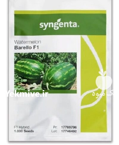 بذر هندوانه بارلو سینجنتا در جاجرم در گروه خرید و فروش بذر هندوانه در یکمیوه -عکس1